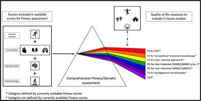 Fitness in acute myeloid leukemia, state of the art and future directions