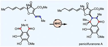 Asymmetric total synthesis of penicilfuranone A through an NHC-catalyzed umpolung strategy†