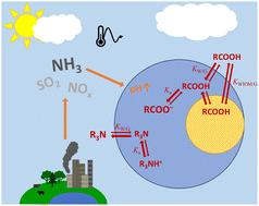 Assessing pH- and temperature-dependence in the aqueous phase partitioning of organic acids and bases in the atmosphere†