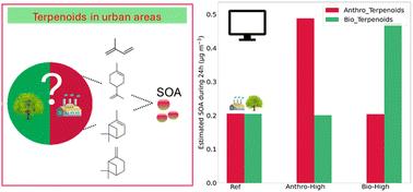 Investigating the role of anthropogenic terpenoids in urban secondary pollution under summer conditions by a box modeling approach†