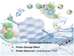 Harmonizing proton sponge and proton reservoir in conjugated microporous polymers for enhanced photocatalytic hydrogen peroxide production†