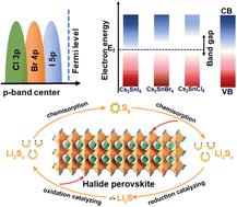 Insights into the halogen-induced p-band center regulation promising high-performance lithium–sulfur batteries†