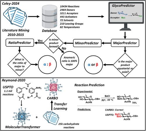Carbohydrate Synthesis is Entering the Data-Driven Digital Era