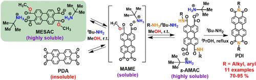 Soft and Sustainable Synthesis of Perylene Diimides through Soluble Surrogates of Perylenetetracarboxylic Acid Dianhydride