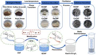 Removal of suspended solids from water by waste biomass-based cationized cellulose nanofibers: a comparative analysis of flocculation performance from different biomass sources†