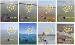 Evidently diverse effects of silver nanoparticles on Vibrio parahaemolyticus across different estuarine water samples†
