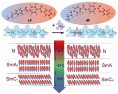 The balance between paraelectricity and ferroelectricity in non-chiral smectic homologs†