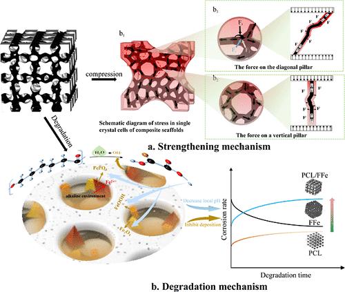 Mechanical Strengthening and Degradation Regulation of Iron Foam-Polycaprolactone Interpenetrating Composite Scaffolds
