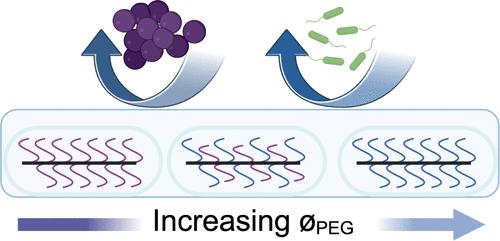 Antifouling Activity of Bottlebrush Network Hydrogels