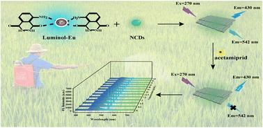 A ratiometric fluorescent sensor based on AIE nanoparticles and nitrogen-doped carbon dots for rapid and sensitive detection of acetamiprid in rice†