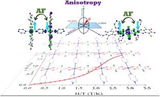 An infinite 2D sheet of tetragonal CoII framework exhibiting metamagnetism†
