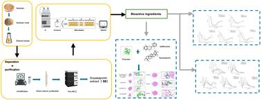 Inhibitory mechanism study of soyasaponins on thrombin: extraction, purification, and functional property analysis†