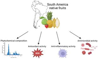 Fruits native to South America: a narrative review of their biological properties and chemical profiles†