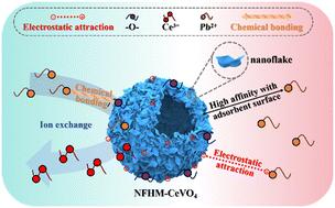 Hierarchical CeVO4 hollow microspheres to enable high-efficiency Pb2+ adsorbents†