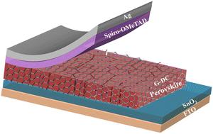 Surface reinforcement of perovskite films with heteroatom-modulated carbon nanosheets for heat-resistant solar cells†