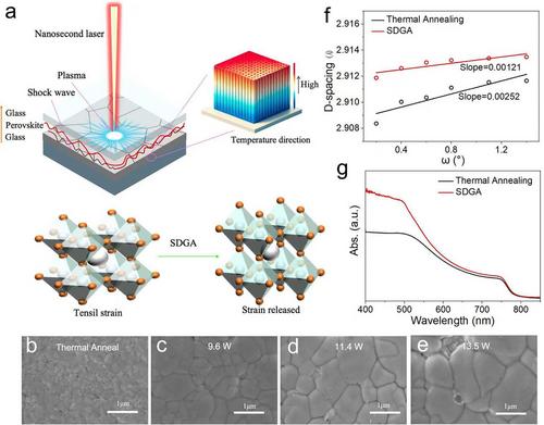 Precision Strain Engineering in Perovskite Optoelectronics via Shock-Driven Gradient Annealing for Enhanced Stability and Light Response