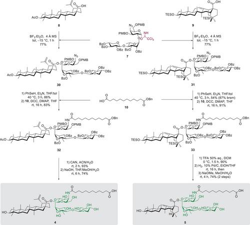 Immunological and Toxicological Assessment of Triterpenoid Saponins Bearing Lewis-X- and QS-21-Based Trisaccharides