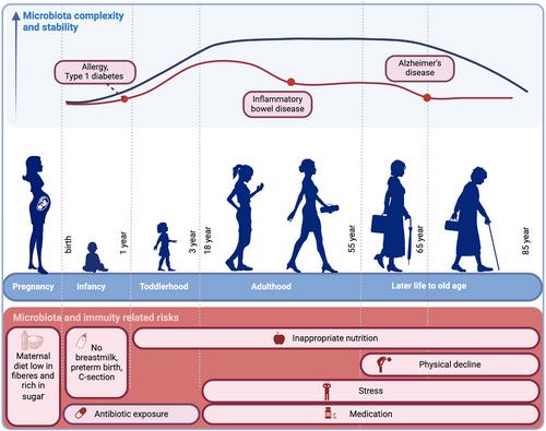 Gut microbiota development across the lifespan: Disease links and health-promoting interventions