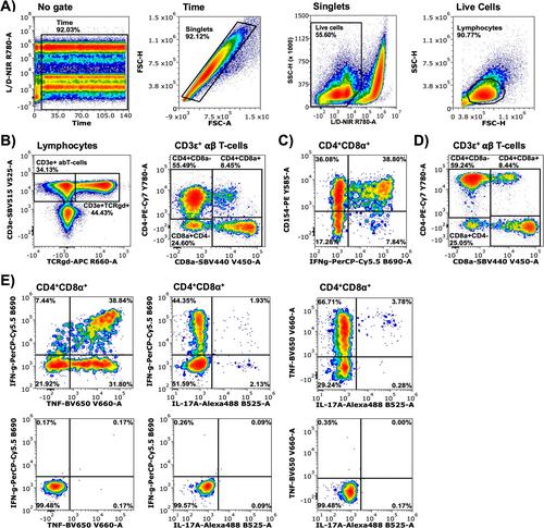 OMIP-113: Characterization of Cytokine Producing T Cells in Swine
