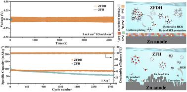 Modulating an anion-enriched Zn2+ solvation structure via a dual weak interaction for stable zinc–metal batteries†