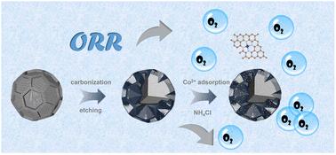 Architecting hydrangea-inspired nitrogen-doped hollow carbon with isolated Co atoms for superior oxygen reduction catalysis†
