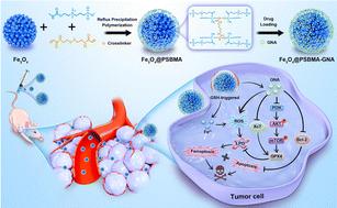 Zwitterionic polymer-coated magnetic nanoparticle induced chemotherapy and ferroptosis for triple-negative breast cancer therapy†