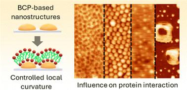 Engineering curvature: block copolymer lithography for the fabrication of curved lipid membranes and their impact on protein–membrane interactions†