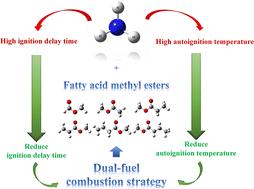 Implications of amino cross-reactions for the ignition characteristics of ammonia-blended typical small saturated and unsaturated fatty acid methyl esters†