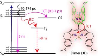 Symmetry-breaking photoinduced charge transfer state in a near-IR absorbing meso-linked BODIPY dimer†