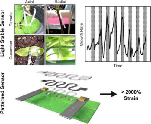 Light-Stable, Ultrastretchable Wearable Strain Sensors for Versatile Plant Growth Monitoring