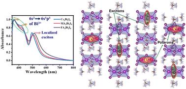 Intricate carrier dynamics of bismuth halide perovskites: localized excitons and polarons†