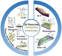 Molecular engineering of polarity control in two-dimensional materials for optoelectronic applications