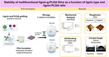 Stability of multifunctional lignin-g-PLGA films as a function of lignin type and lignin : PLGA ratio