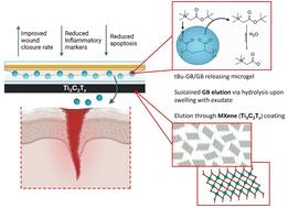 Ti3C2Tx MXene augments osmo-adaptive repression of the inflammatory stress response for improved wound repair†