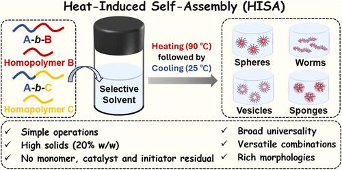 Expanding the Scope of Self-Assembly: Heat-Induced Self-Assembly of Block Copolymers with High Solids