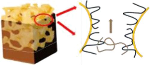 Polymer–Wall Interactions Slow Infiltration Dynamics in Bicontinuous, Nanoporous Structures