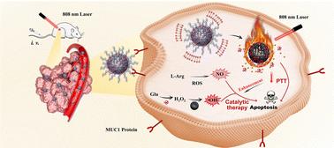 Multifunctional nanozyme for tumor-targeted photothermal/catalytic combination therapy†