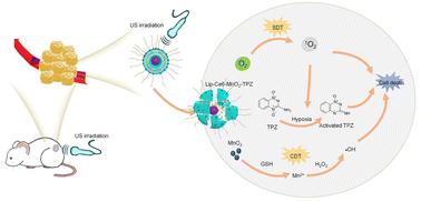 A hypoxia-activated and tumor microenvironment-remodeling nanoplatform for augmenting sonodynamic–chemodynamic-chemotherapy of breast cancer†