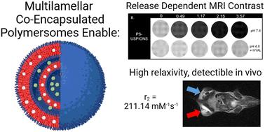 Multilamellar hyaluronic acid-b-poly(lactic acid) polymersomes for pathology-responsive MRI enhancement†