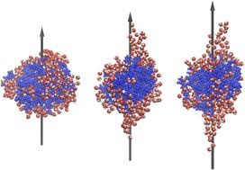 Dipole orientation of hydrated gas phase proteins†