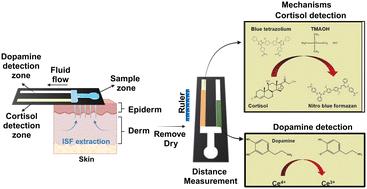 Microneedle-integrated distance-based paper device for simultaneous transdermal detection of cortisol and dopamine