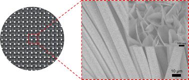 Planting MoS2 nanosheets so that they stand vertically on a substrate using a dynamic magnetic field†