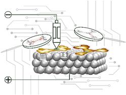 Synthesis, electronic properties and on-surface switching behaviour of triazatruxene dimers and tetramers†‡