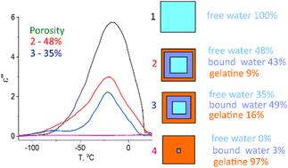 Determining hydrogel porosity through dielectric relaxation intensity ratios between water and hydrogel†