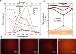 Suppression of phase segregation in red CsPbIBr2-based perovskite LECs/LEDs: impact of Mn doping, crystallization control, and grain passivation†