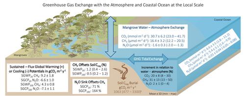 A mangrove nitrous oxide sink attenuates methane climate impacts