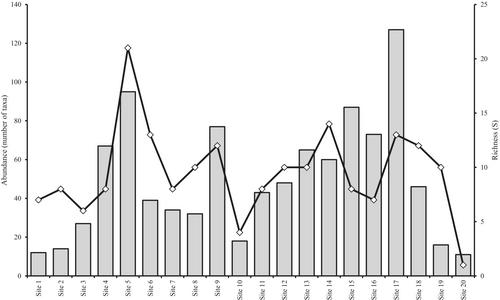 Spatiotemporal assessment of benthic macroinvertebrate communities in the Bermejo River Basin in the Ecuadorian Amazonia
