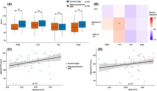 Sex-specific white matter alterations in children exposed to high pregestational BMI
