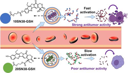 Effect of Prodrug Activation Rate on In Vivo Drug Release and Antitumor Efficacy of SN38-Prodrug-Entrapped Liposomes