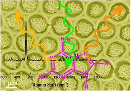 Electrochemically engineered hierarchical flower-like Ag nanostructures within Al2O3 honeycomb microchannel periodic arrays for ultra-sensitive SERS detection†